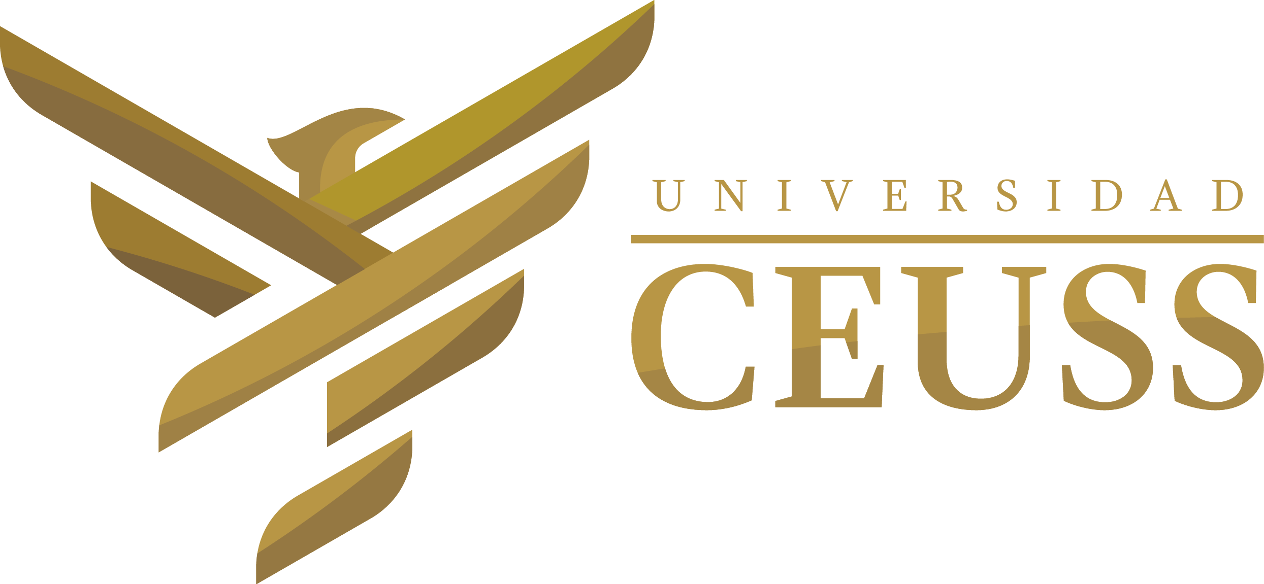 UNIVERSIDAD CEUSS