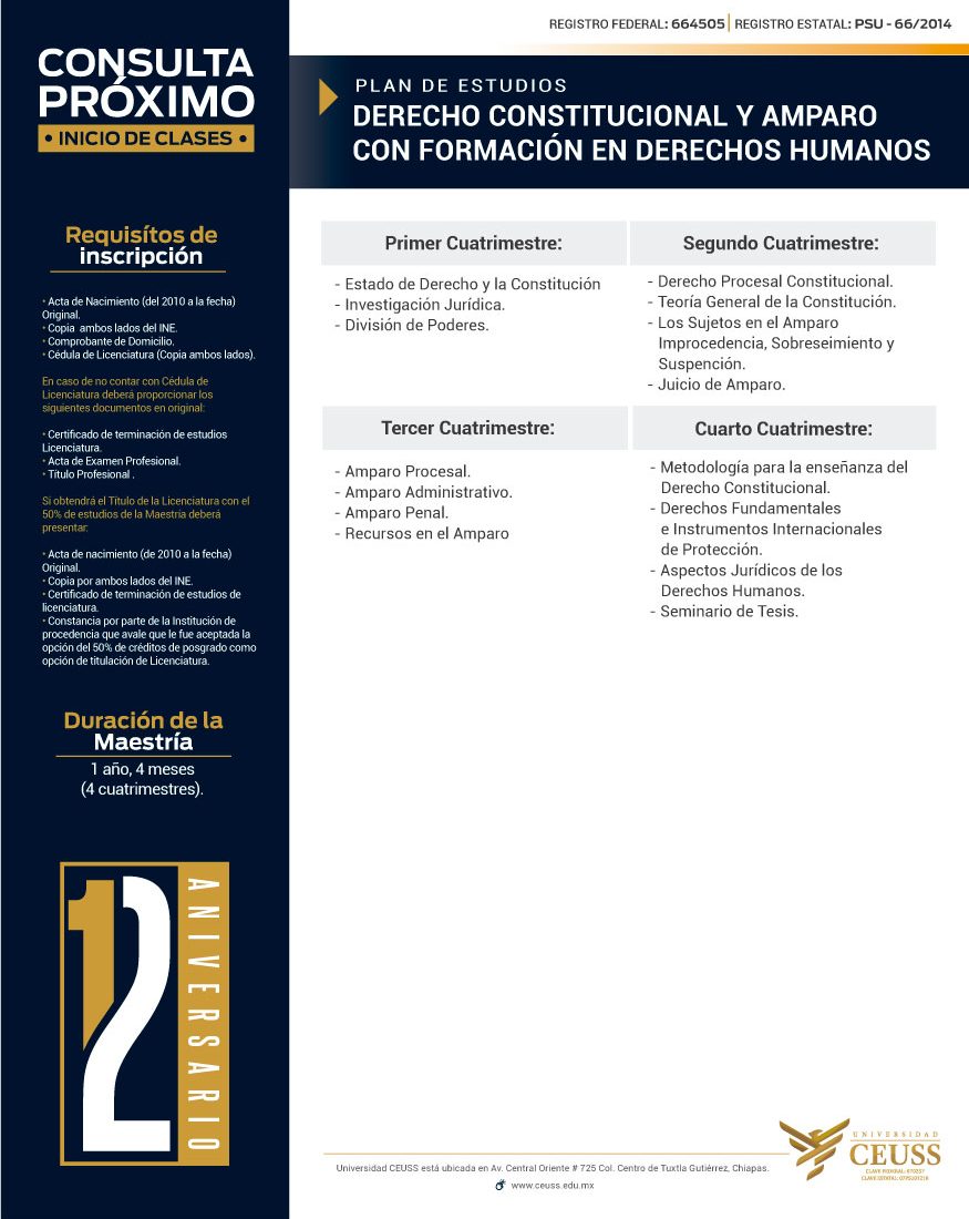 DERECHO-CONSTITUCIONAL-Y-AMPARO-CON-FORMACIÓN-EN-DERECHOS-HUMANOS DERECHO-CONSTITUCIONAL-Y-AMPARO-CON-FORMACIÓN-EN-DERECHOS-HUMANOS