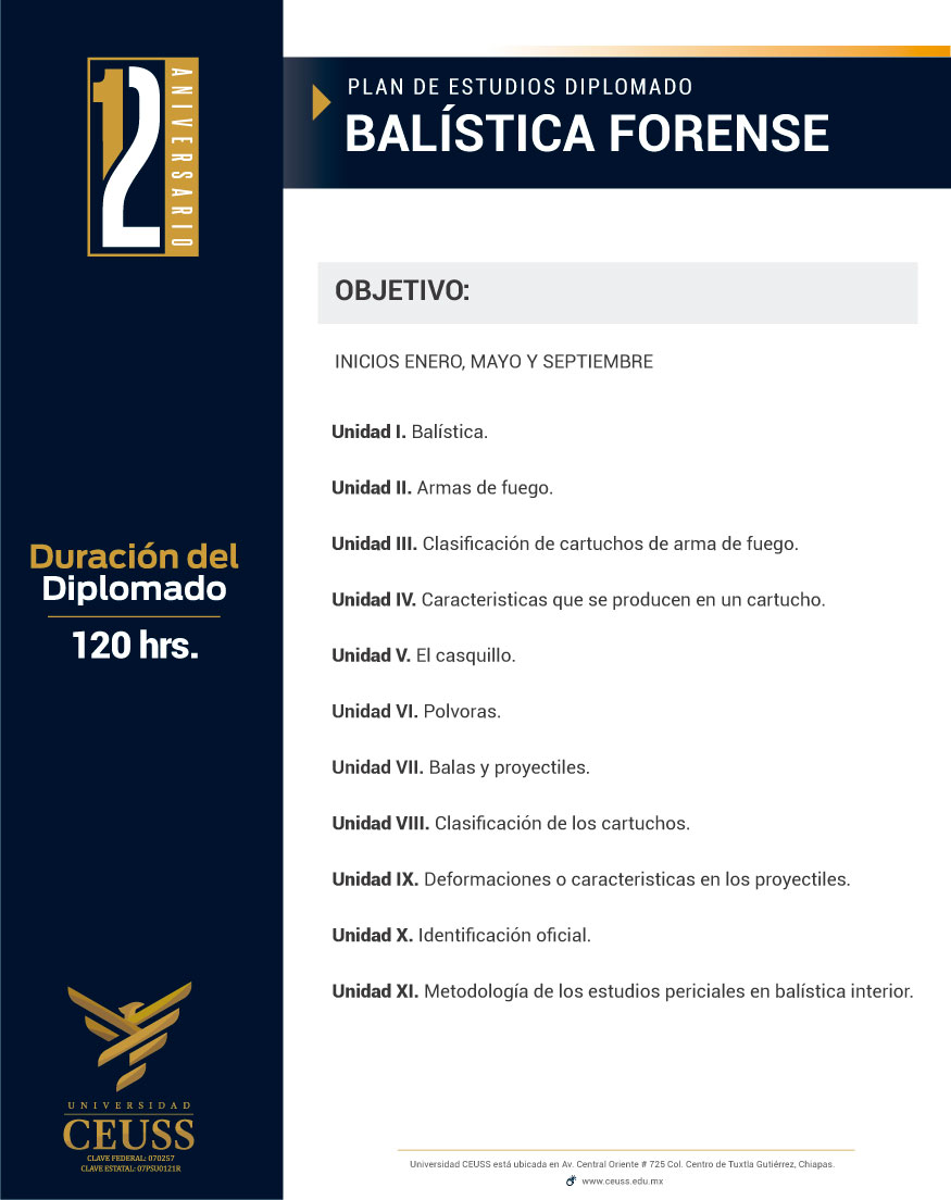 BALISTICA FORENSE